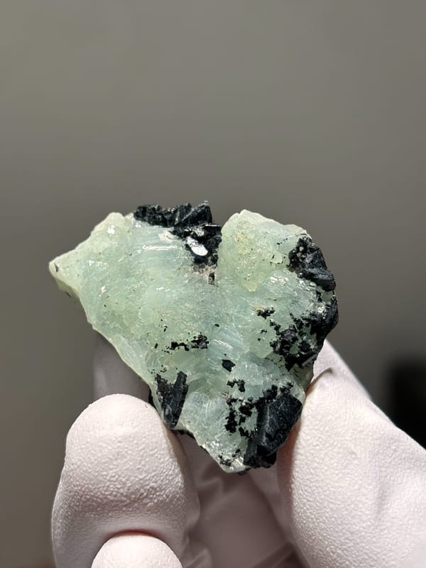 Pale green prehnite with black babingtonite from Yunnan, China, held in gloved hand