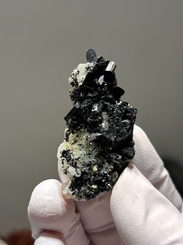 Black babingtonite crystals on pale green prehnite from Yunnan, China, held in gloved hand