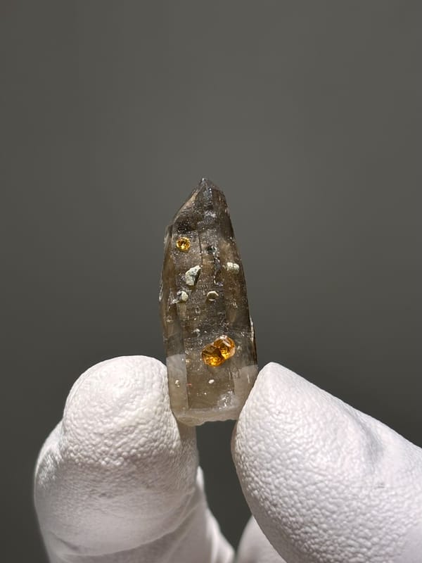 Tiny smoky quartz with Fanta-orange spessartine from Fujian, China, held in gloved hand