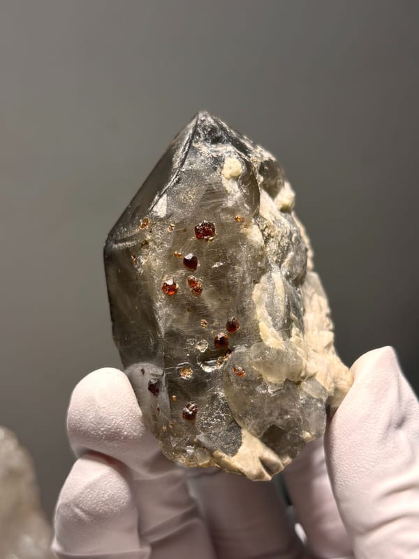 Smoky quartz point with red garnets from Fujian, China, held in gloved hand