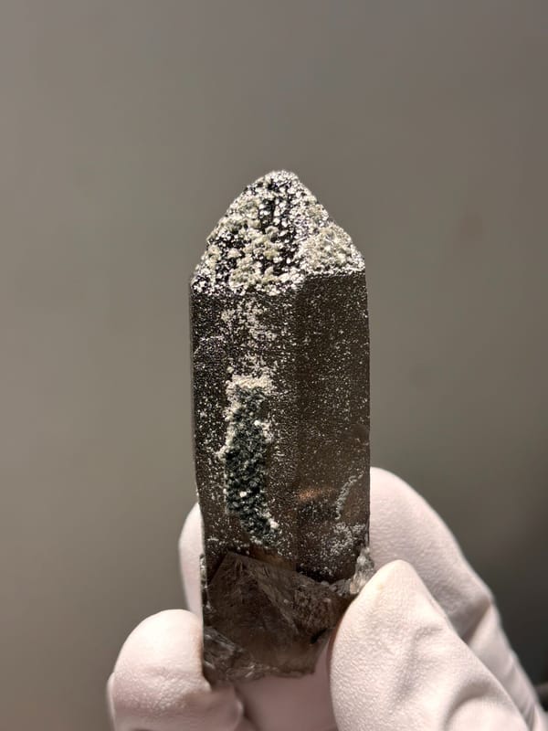 Dark smoky quartz point with mica-dusted tip from Fujian, China, held in gloved hand