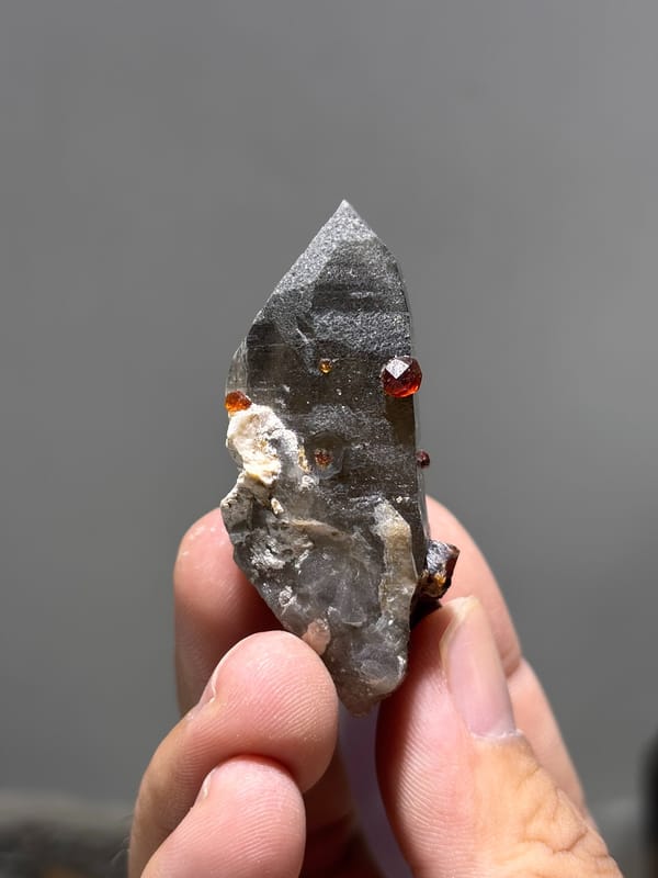 Smoky quartz point with red garnets from Fujian, China, held in hand