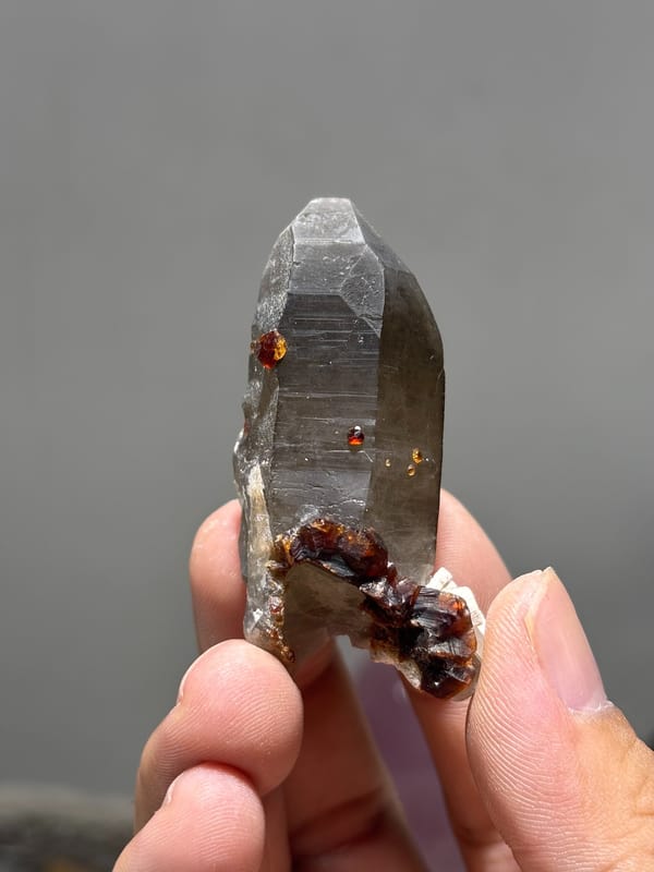 Smoky quartz point with red garnets from Fujian, China, close-up of the crystal faces