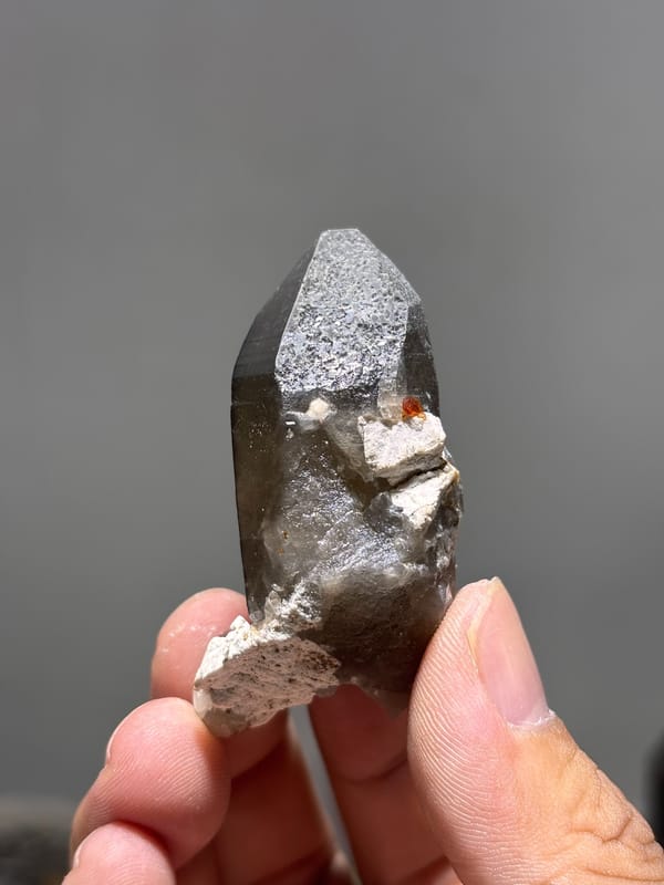Smoky quartz point with red garnets from Fujian, China, reverse side