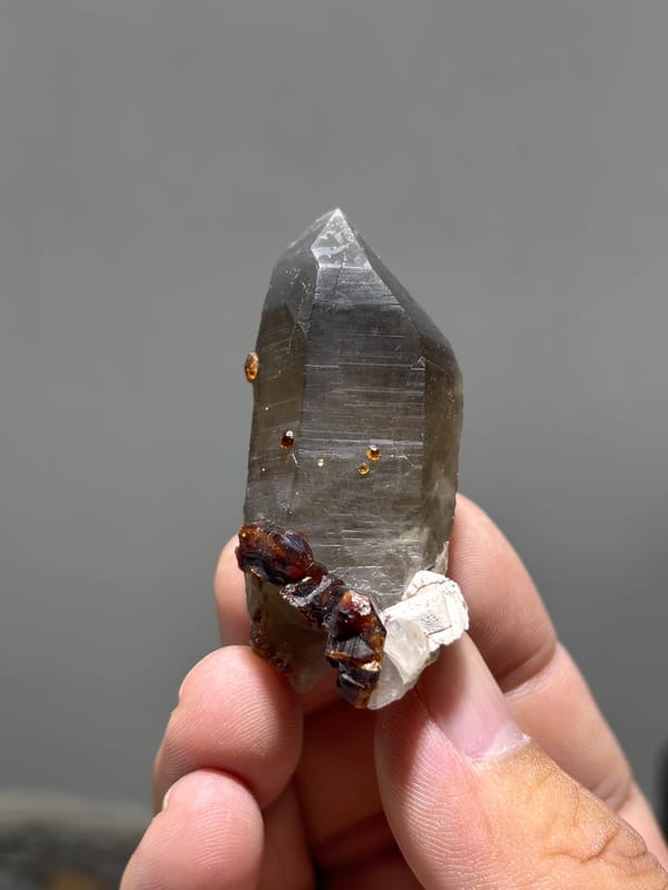 Smoky quartz point with red garnets from Fujian, China, top view