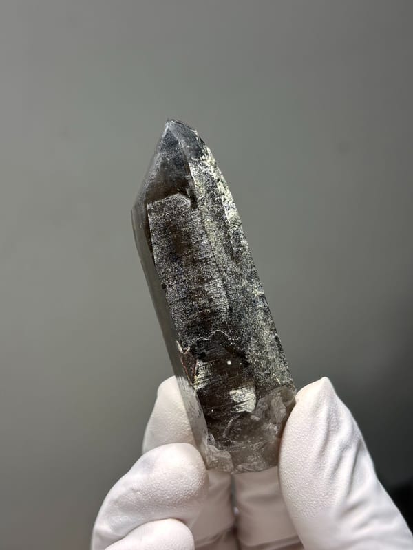 Smoky quartz point with grey phantom from Fujian, China, held in gloved hand