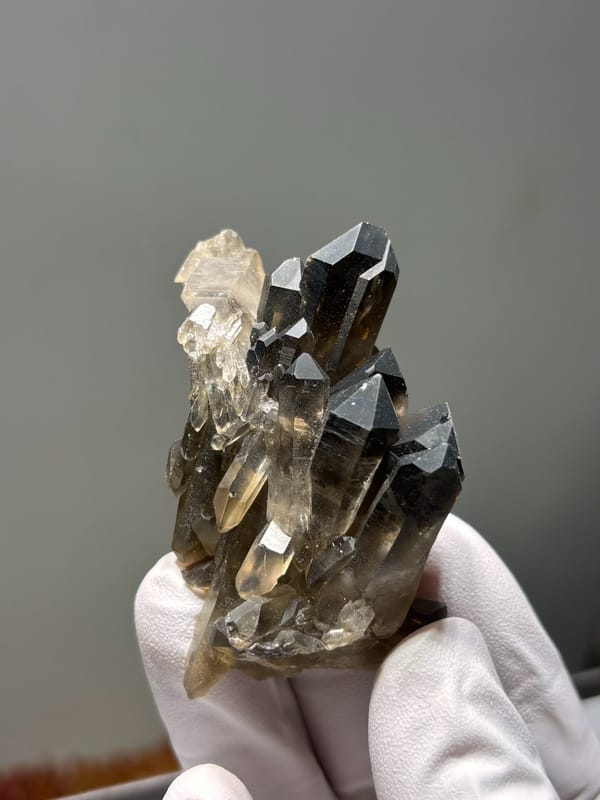 Smoky quartz cluster with pale side crystals from Sichuan, China, held in gloved hand
