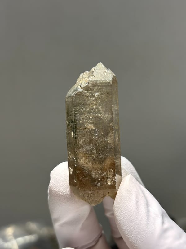 Tea-brown smoky quartz point with milky tip from Sichuan, China, held in gloved hand