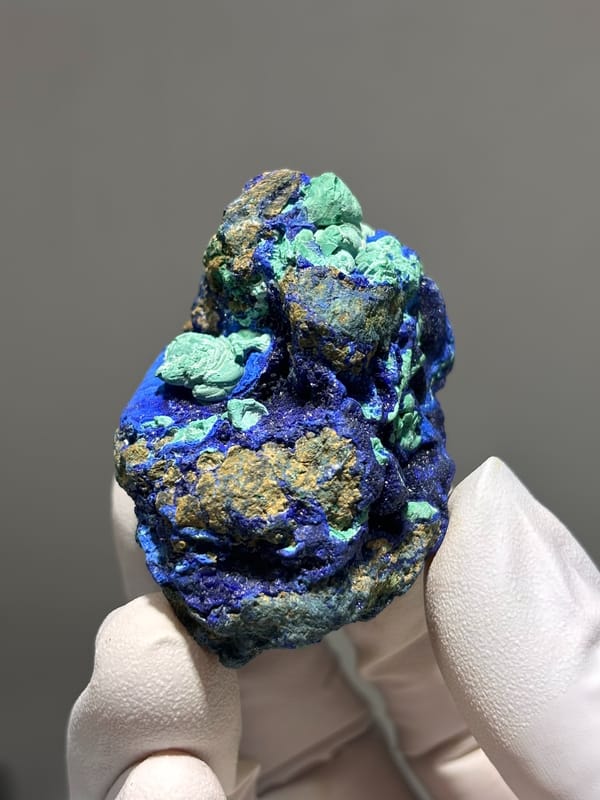 Royal-blue azurite nodule with green malachite from Hubei, China, held in gloved hand
