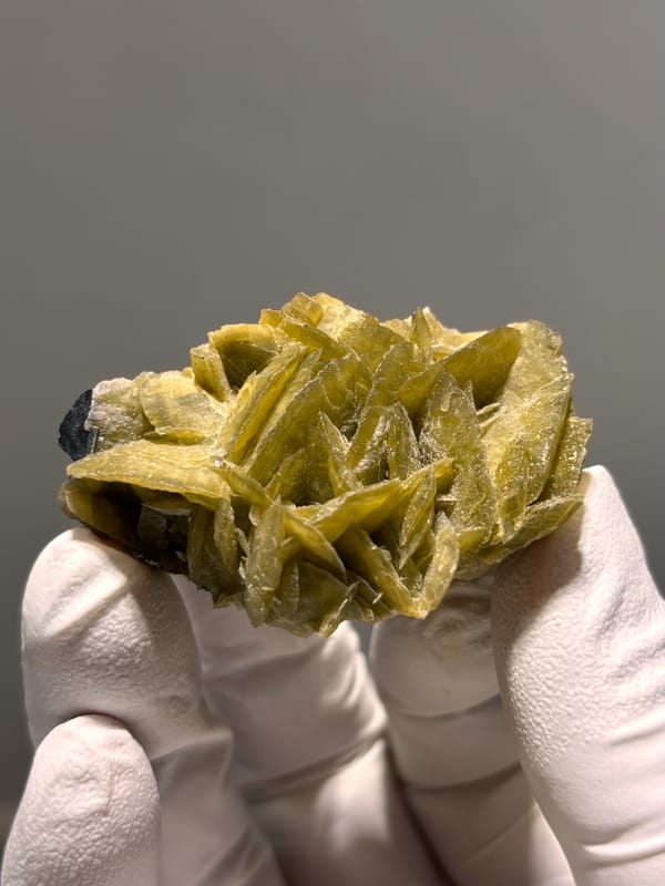 Cluster of olive-brown siderite blades from Guizhou, China, held in gloved hand