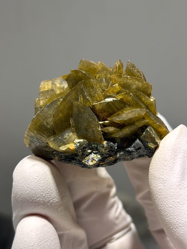Golden-brown siderite blades with pyrite from Guizhou, China, close-up of the crystal faces