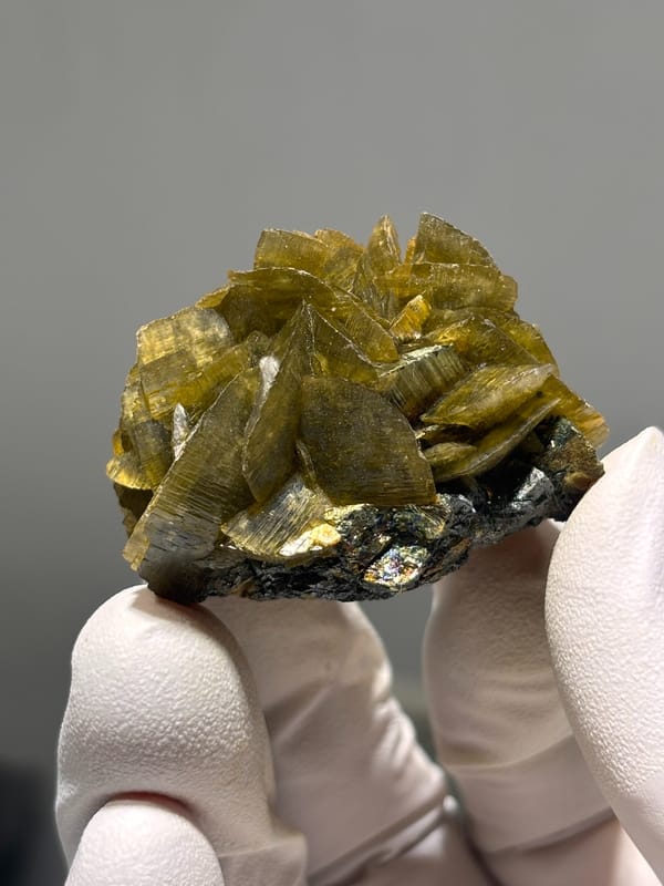 Golden-brown siderite blades with pyrite from Guizhou, China, reverse side