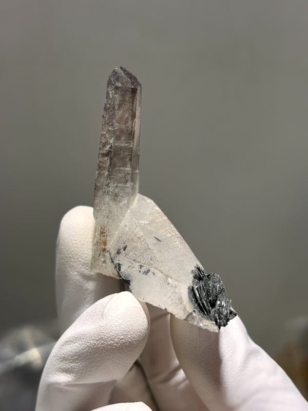 Smoky quartz point on specular hematite base from Guangdong, China, held in gloved hand