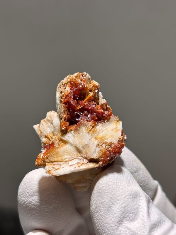 Red vanadinite crystals on white baryte from Morocco, held in gloved hand