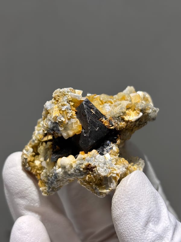 Black cassiterite crystal with aquamarine and mica from Xuebaoding, Sichuan, China, held in gloved hand