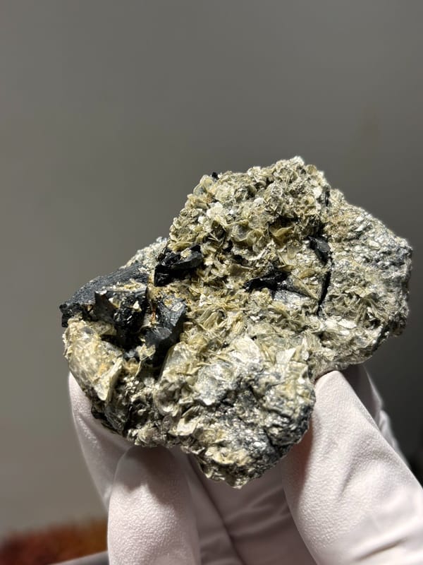 Black cassiterite crystals with aquamarine on mica from Xuebaoding, Sichuan, China, held in gloved hand