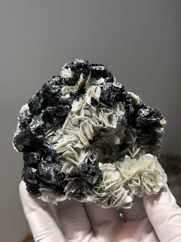 Plate of black cassiterite with white mica rosettes from Xuebaoding, Sichuan, China, second angle