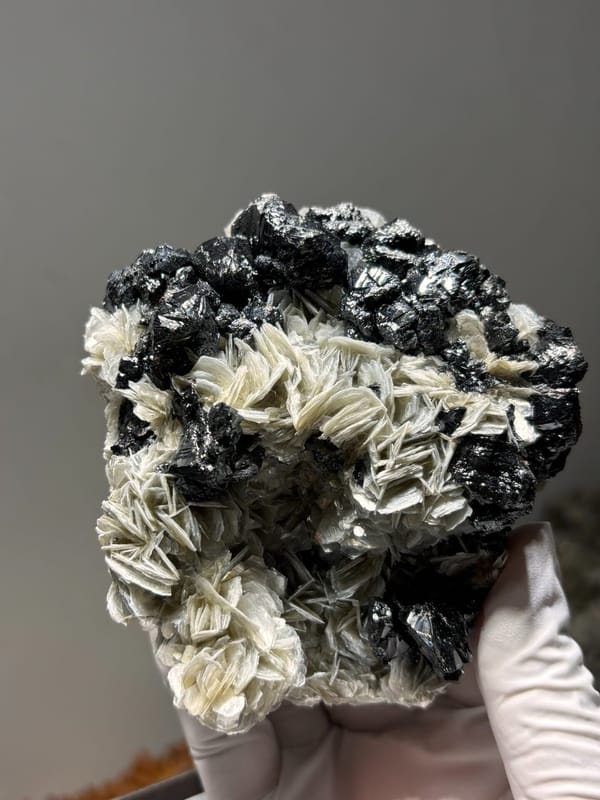 Plate of black cassiterite with white mica rosettes from Xuebaoding, Sichuan, China, close-up of the crystal faces