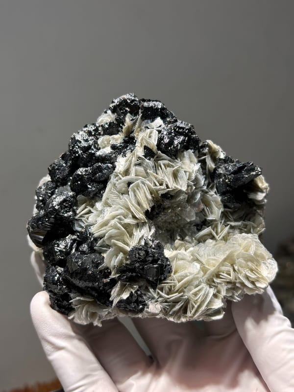 Plate of black cassiterite with white mica rosettes from Xuebaoding, Sichuan, China, reverse side