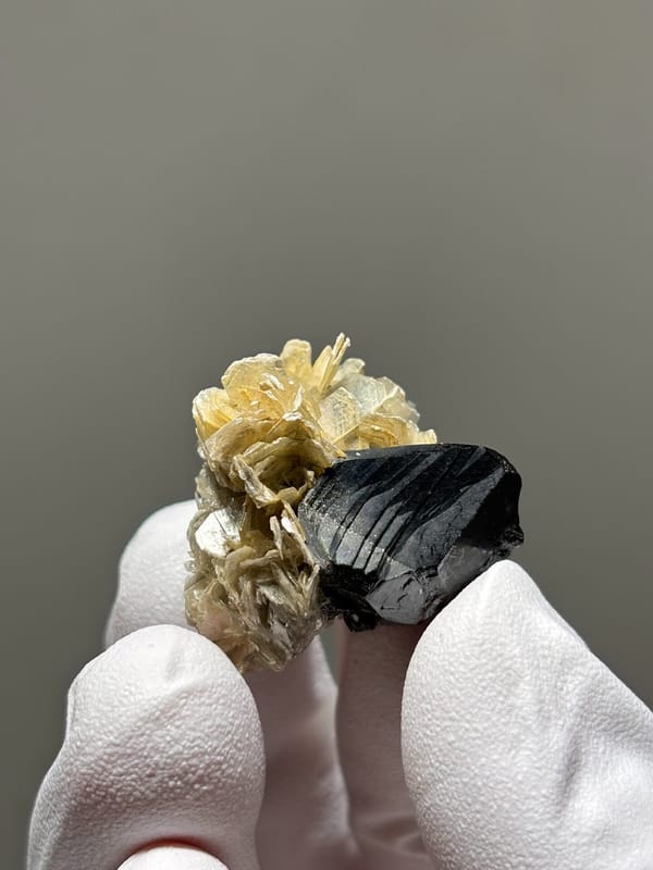 Tiny black cassiterite with golden mica rosette from Xuebaoding, Sichuan, China, second angle