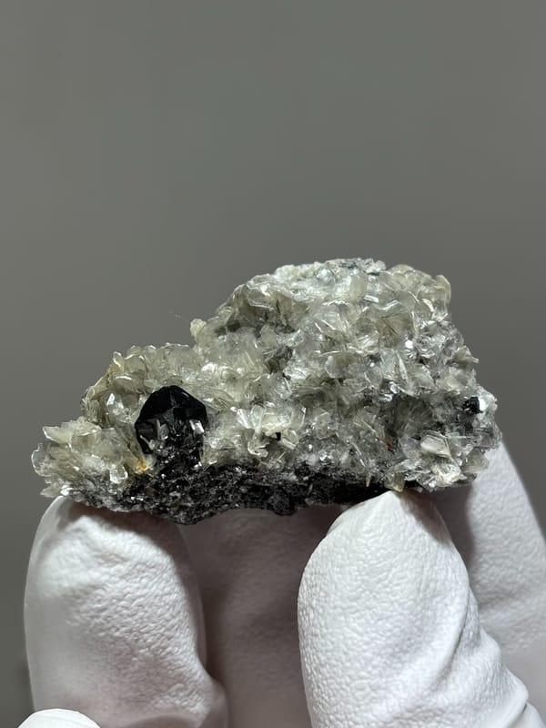 Black cassiterite crystal in pale mica from Xuebaoding, Sichuan, China, held in gloved hand