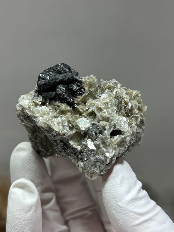 Black cassiterite crystal on tan mica from Xuebaoding, Sichuan, China, held in gloved hand