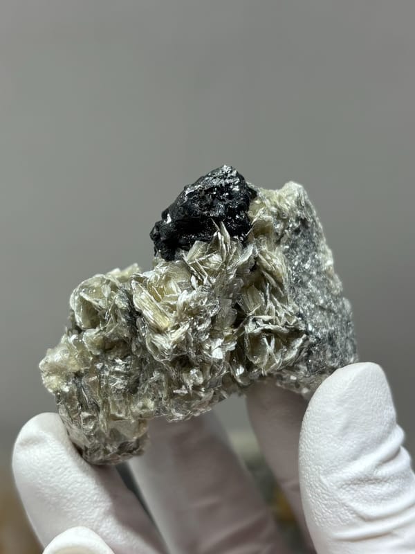 Black cassiterite crystal on tan mica from Xuebaoding, Sichuan, China, close-up of the crystal faces