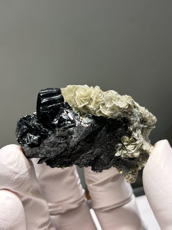 Black cassiterite plate with pale mica from Xuebaoding, Sichuan, China, held in gloved hand