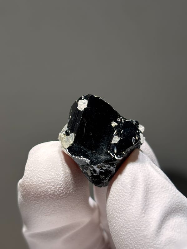 Tiny black cassiterite crystal with white flecks from Xuebaoding, Sichuan, China, held in gloved hand