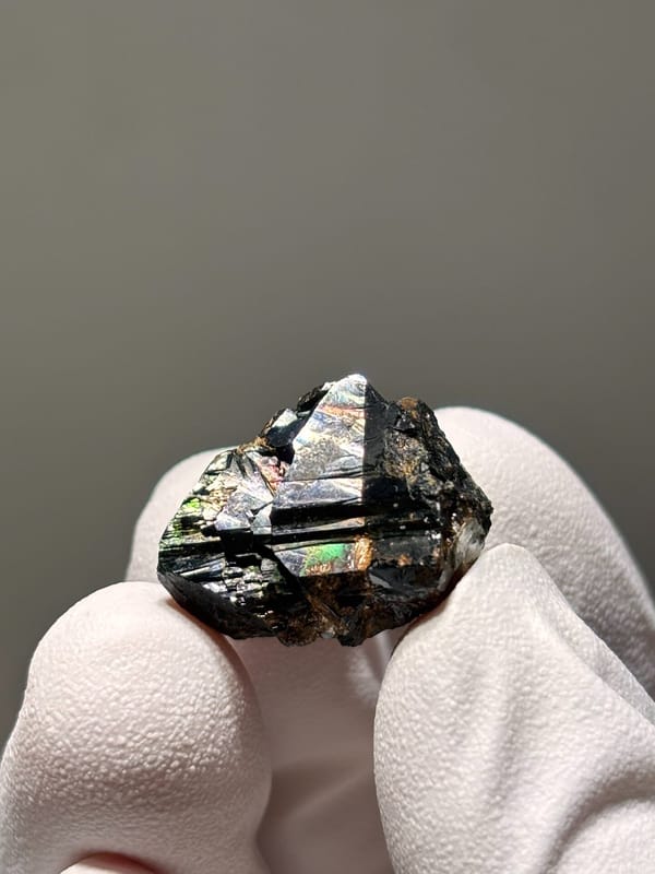 Tiny black cassiterite with iridescent sheen from Xuebaoding, Sichuan, China, held in gloved hand
