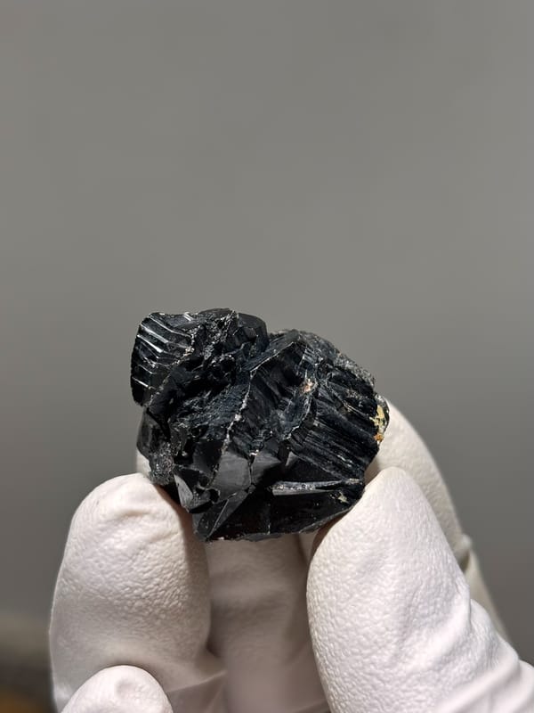 Black cassiterite crystal with bright faces from Xuebaoding, Sichuan, China, held in gloved hand