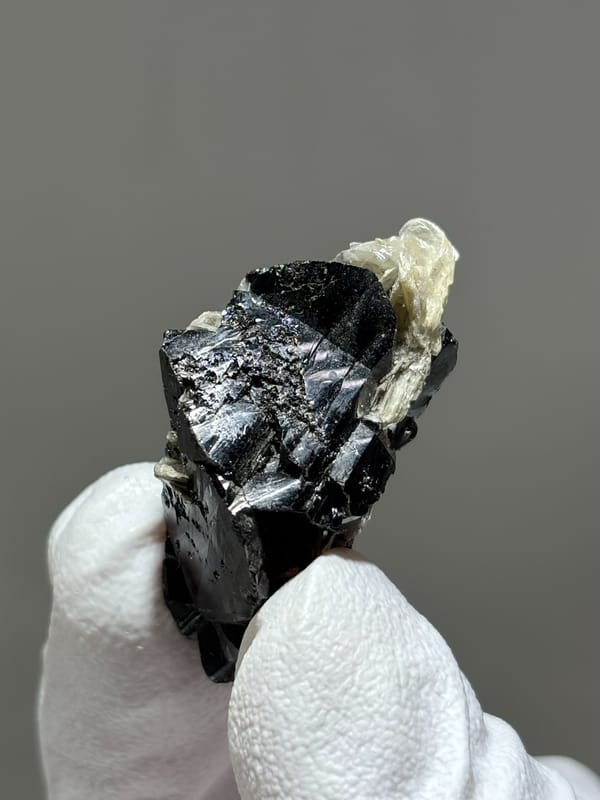 Glossy black cassiterite crystal with mica from Xuebaoding, Sichuan, China, held in gloved hand