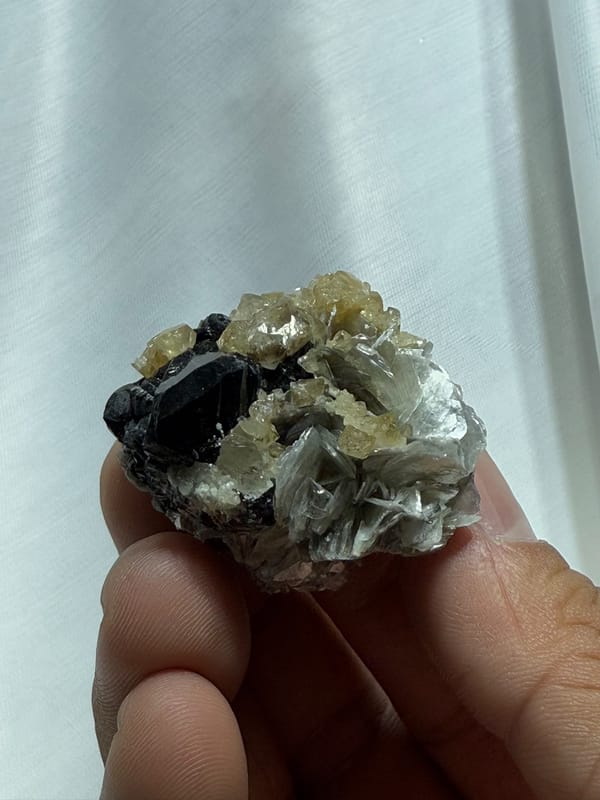 Black cassiterite with scheelite and mica from Xuebaoding, Sichuan, China, held in hand