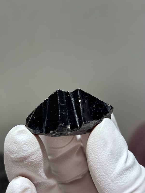 Glossy black cassiterite crystal from Xuebaoding, Sichuan, China, held in gloved hand