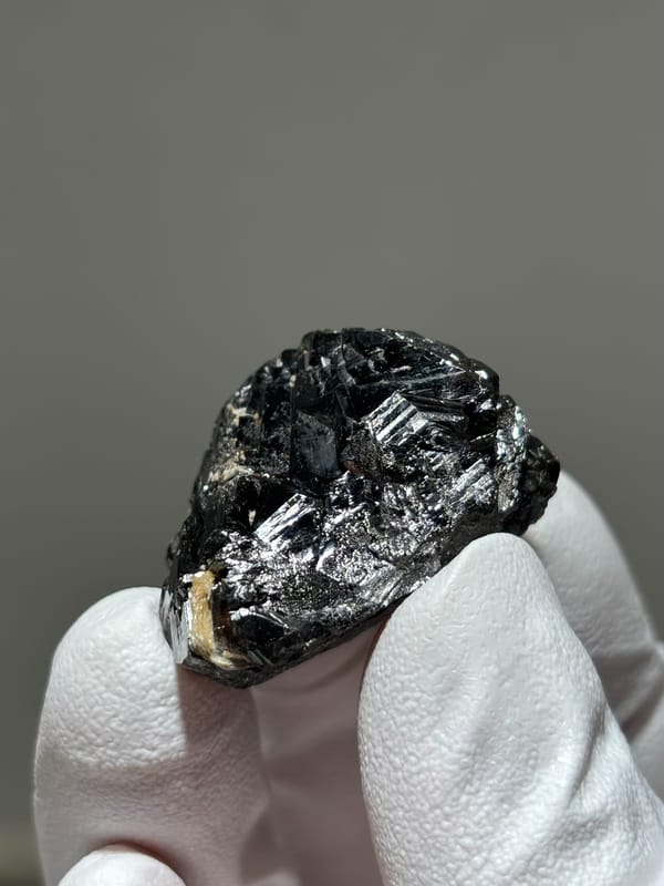 Glossy black cassiterite crystal from Xuebaoding, Sichuan, China, held in gloved hand