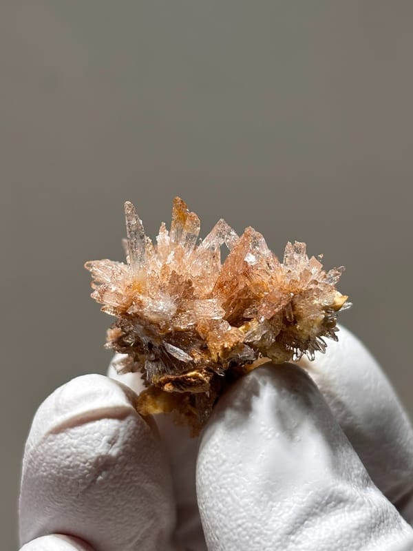 Spray of peach gypsum needles from Guizhou, China, second angle