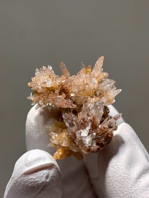 Spray of peach gypsum needles from Guizhou, China, reverse side