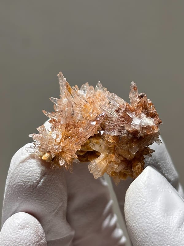 Spray of peach gypsum needles from Guizhou, China, top view
