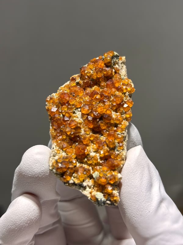 Plate of Fanta-orange spessartine on feldspar from Fujian, China, held in gloved hand