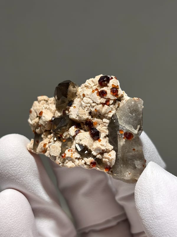 Red garnets on feldspar with smoky quartz from Fujian, China, held in gloved hand