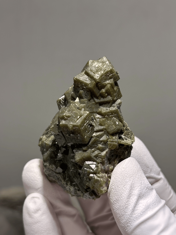 Olive-brown garnet crystal cluster from Inner Mongolia, China, held in gloved hand