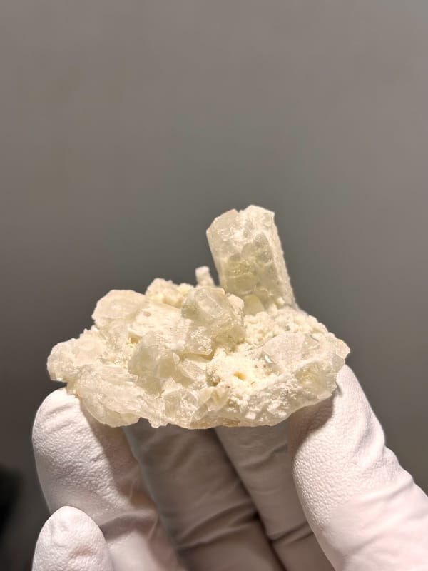 Cluster of cream baryte crystals with rising blade from Sichuan, China, held in gloved hand