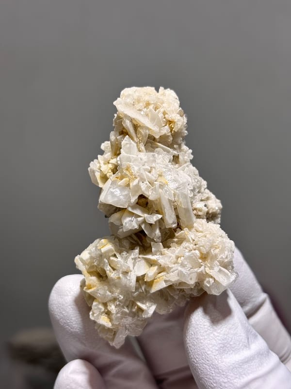 Cluster of cream baryte blades from Sichuan, China, held in gloved hand