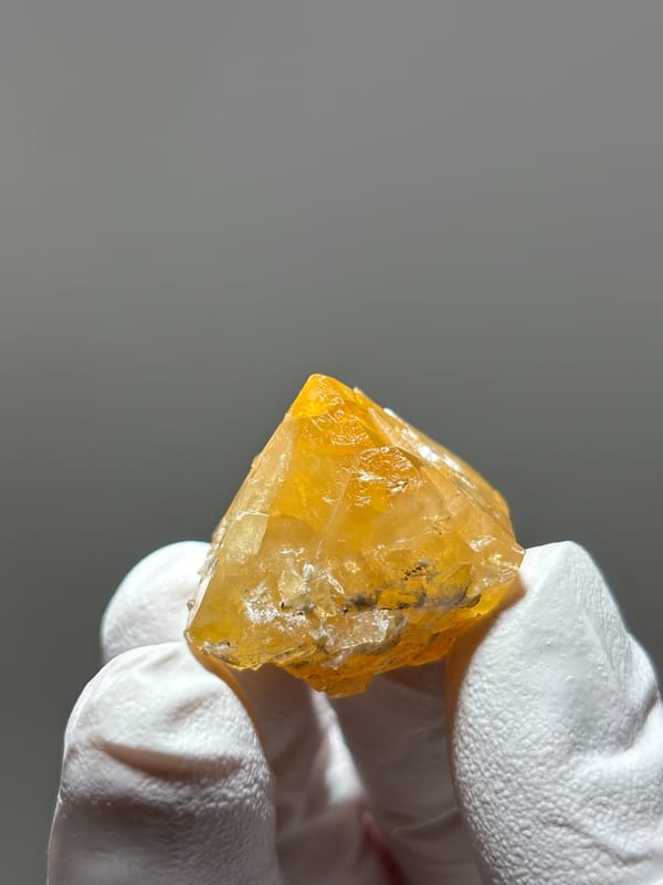 Bright orange scheelite floater crystal from Xuebaoding, Sichuan, China, held in gloved hand