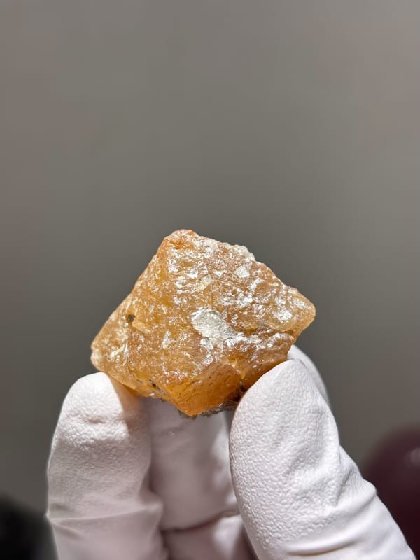 Etched honey scheelite crystal from Xuebaoding, Sichuan, China, held in gloved hand
