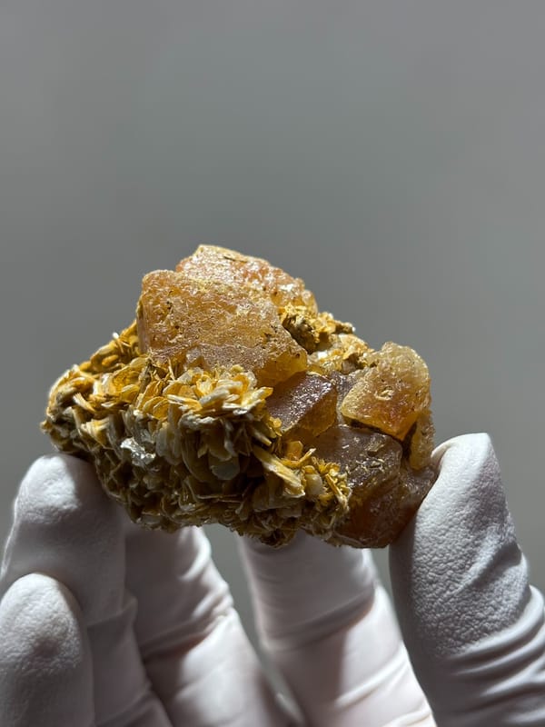 Etched honey scheelite group on golden mica from Xuebaoding, Sichuan, China, held in gloved hand