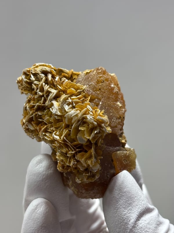 Etched honey scheelite group on golden mica from Xuebaoding, Sichuan, China, close-up of the crystal faces