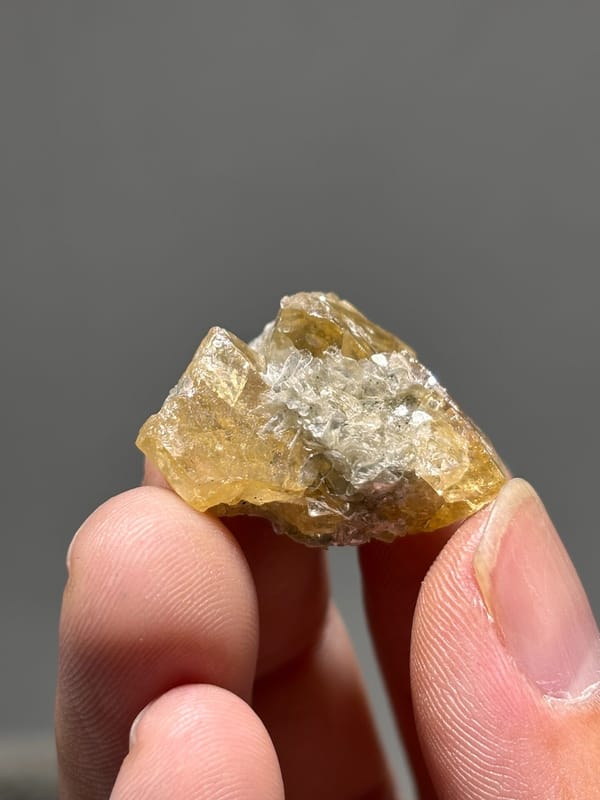 Golden Scheelite with Mica — Xuebaoding, Sichuan · 2.9 cm