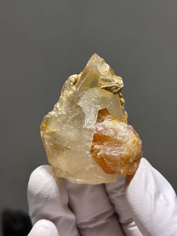 Golden scheelite grown into quartz crystal from Xuebaoding, Sichuan, China, held in gloved hand