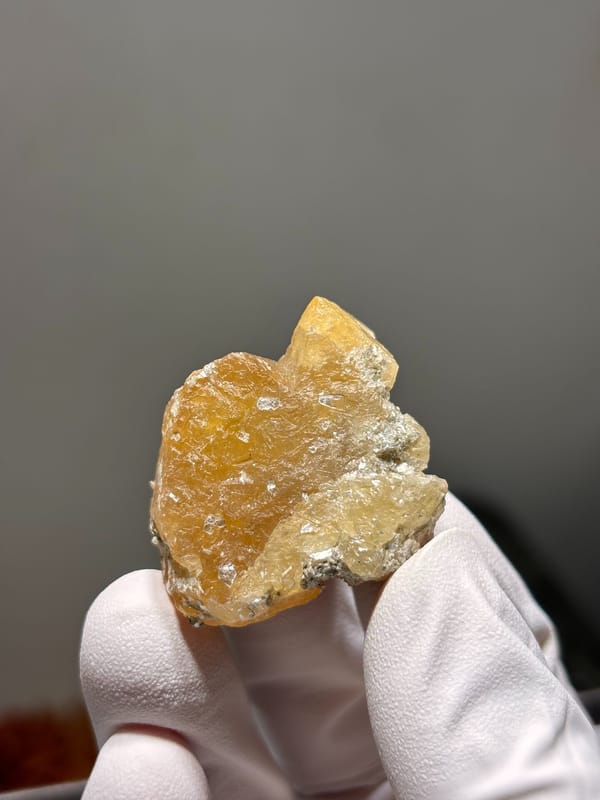 Golden-yellow scheelite crystal from Xuebaoding, Sichuan, China, held in gloved hand